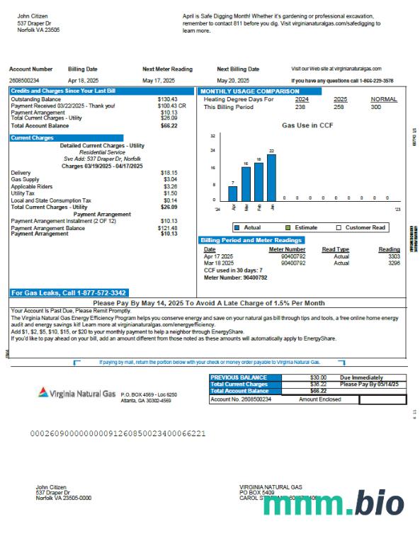 Szablon rachunku za gaz ziemny w USA Virginia w formatach Word i PDF